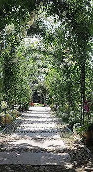 La Via' Bed & Breakfast Cavour